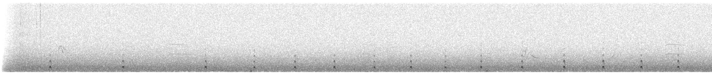Серогрудый зобатый бегунок - ML615677798