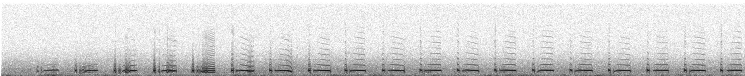 Thinocore de d'Orbigny - ML615677799