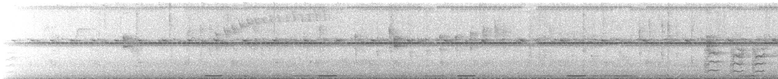 holoubek šedomodrý - ML615678898