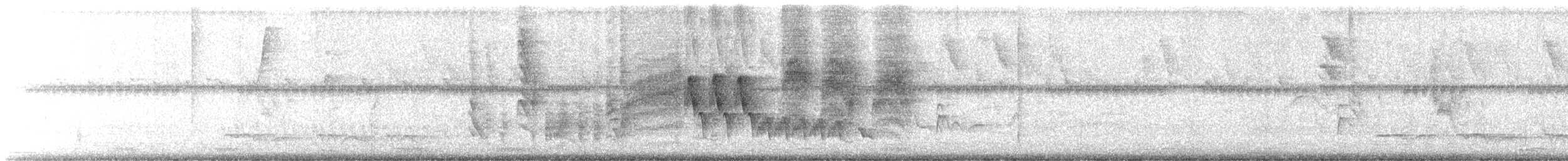 Troglodyte familier (groupe musculus) - ML615679396