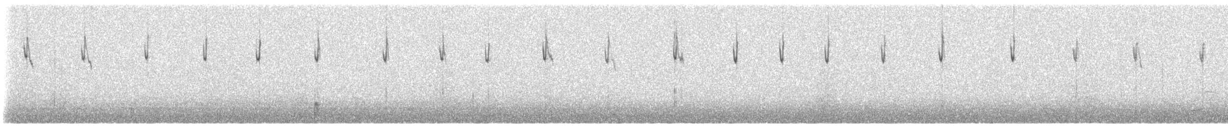 Buff-winged Cinclodes - ML615679646