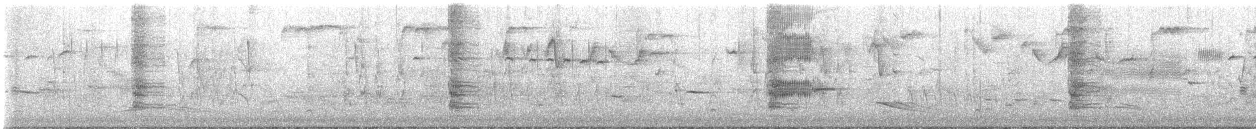 båthaletrupial - ML615682124