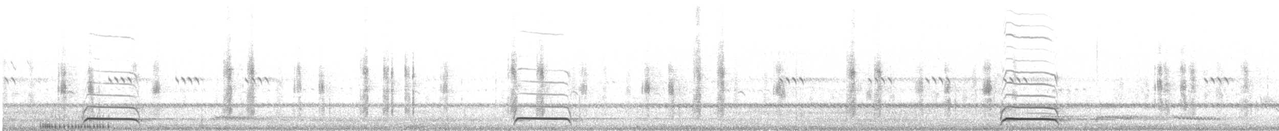 Arabian Scops-Owl - ML615689146