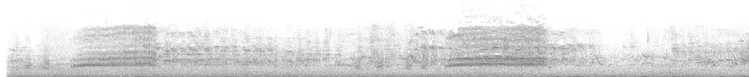 Steller's Jay - ML615692435