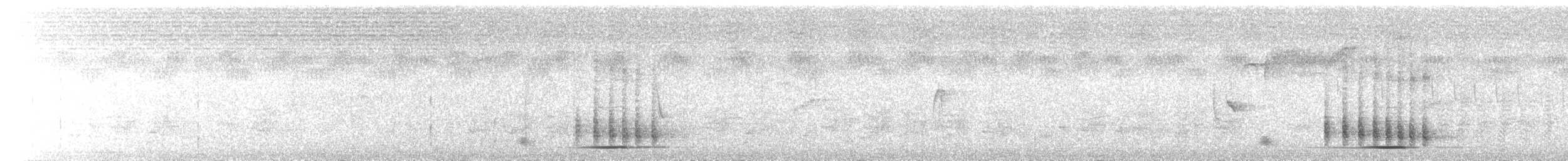 Bataklık Bubusu (sticturus) - ML615693015