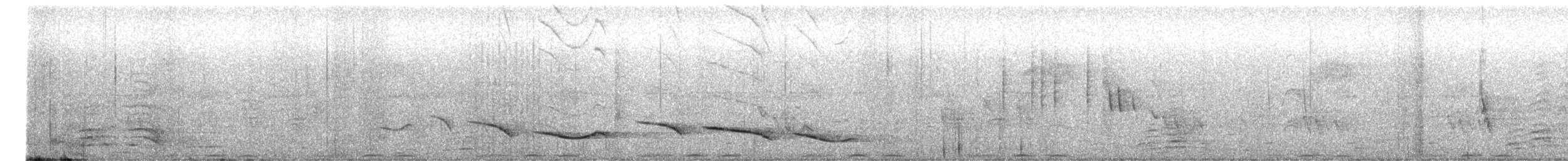 svartkronesjagra (senegalus gr.) - ML615700852