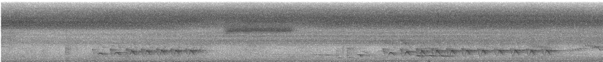 シラオラケットカワセミ - ML615701467