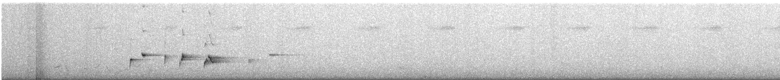 Чёрно-белая веерохвостка - ML615701855