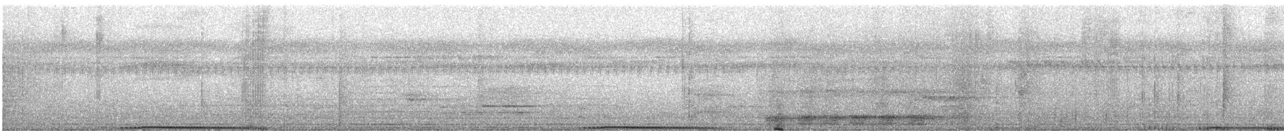 Kara Kasapkuşu - ML615701924