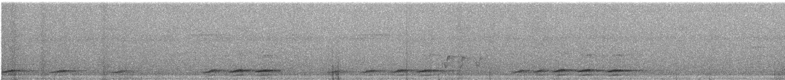 Kara Kasapkuşu - ML615701928