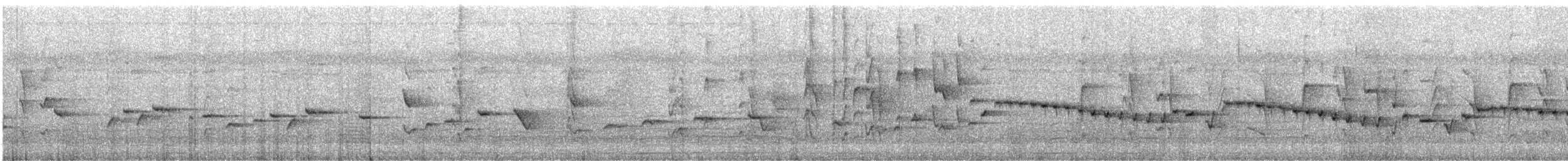 Gérygone à bec fort - ML615701955