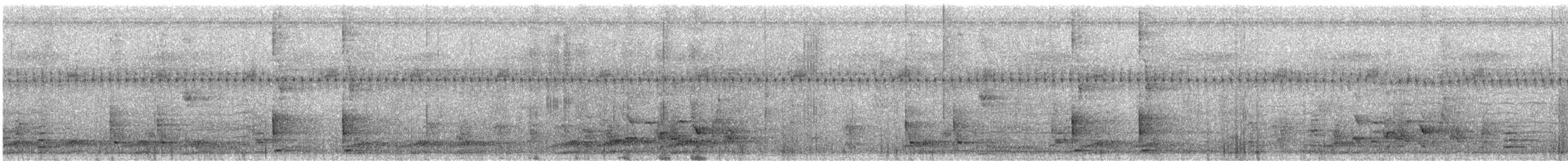 Сверкающий дронго (carbonarius) - ML615701980
