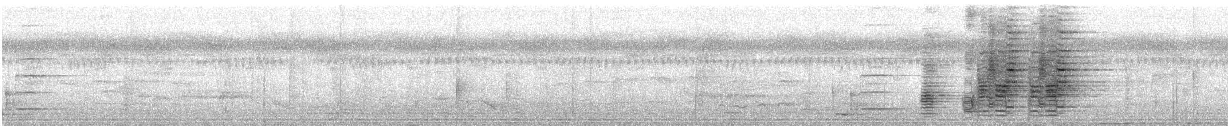 Glanzfleckdrongo (carbonarius) - ML615701981