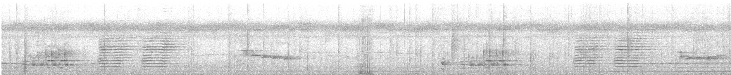 Glanzfleckdrongo (carbonarius) - ML615701982