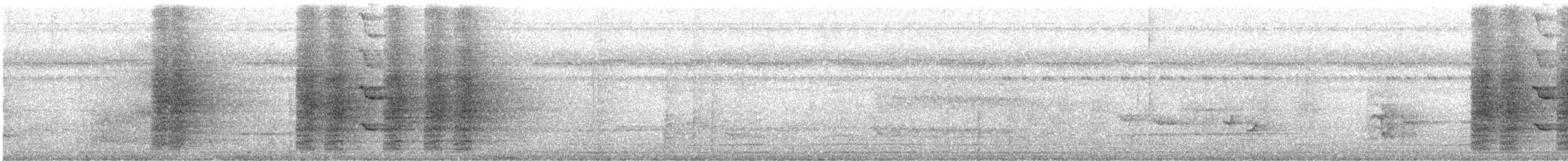 Сверкающий дронго (carbonarius) - ML615701983