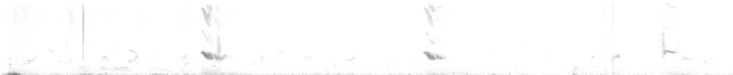 skalníček černoocasý - ML615702594