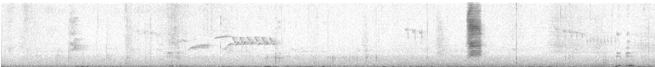 Geai du Mexique - ML615704550