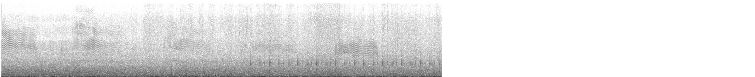 Black-tailed Gull - ML615708046