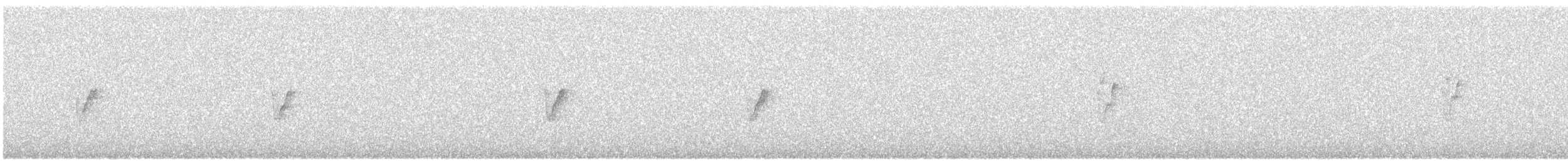 עלווית חורף קנרית - ML615709385