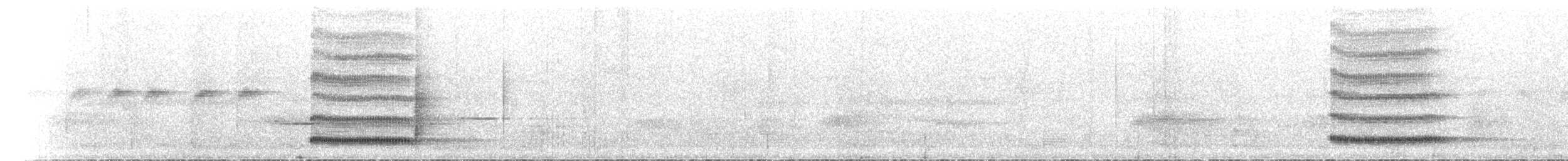 Серогрудый крючкоклюв - ML615709937