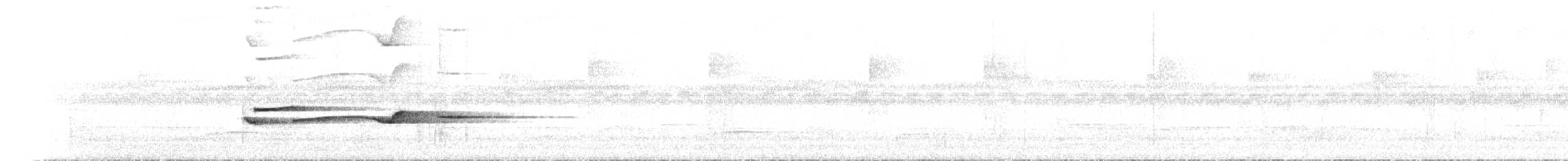 キタツグミマイコドリ - ML615710014