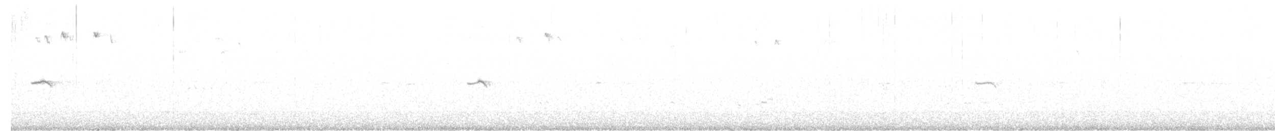 Common Chiffchaff (Siberian) - ML615710022