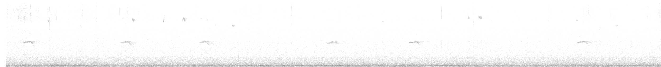 Common Chiffchaff (Siberian) - ML615710027
