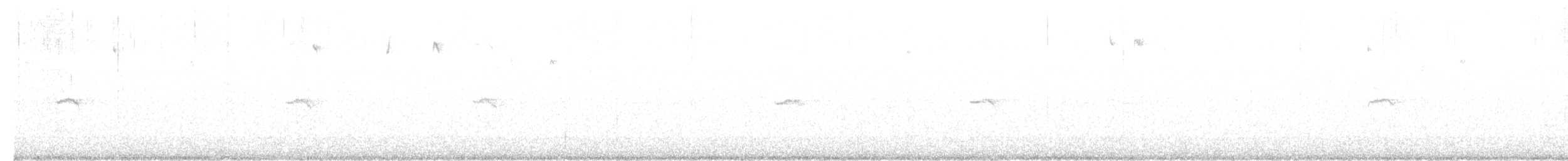 Luì piccolo (tristis) - ML615710027