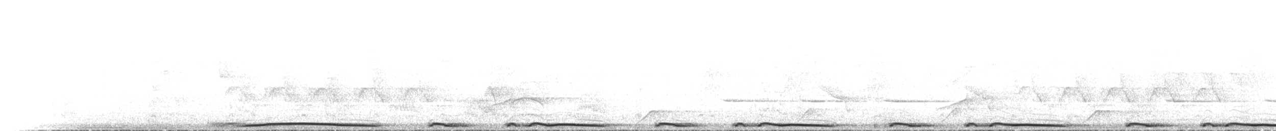 holub neotropický - ML615715188