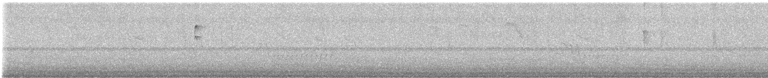 Белокрылая пиранга - ML615718010