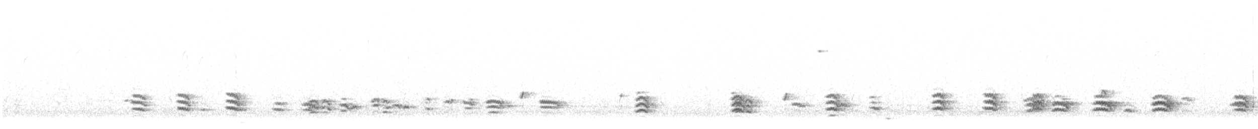 Weißbrustkleiber (carolinensis) - ML615718193