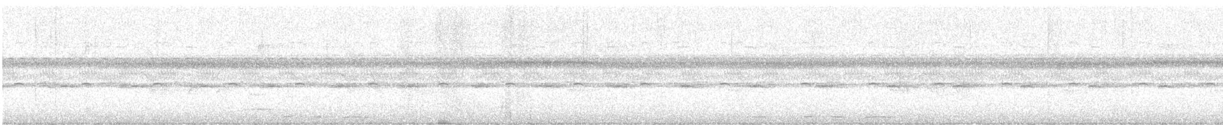 holub krátkozobý - ML615719285