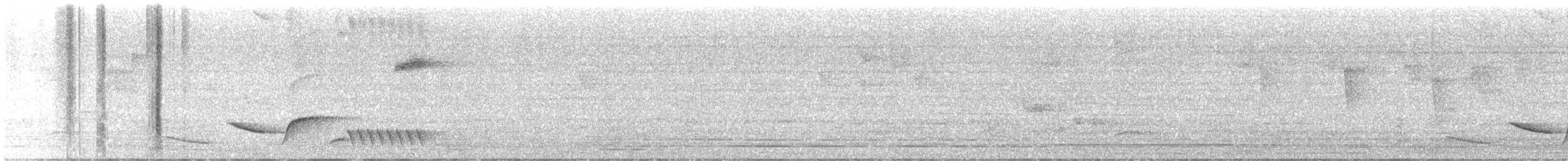 Black-throated Wren - ML615719878