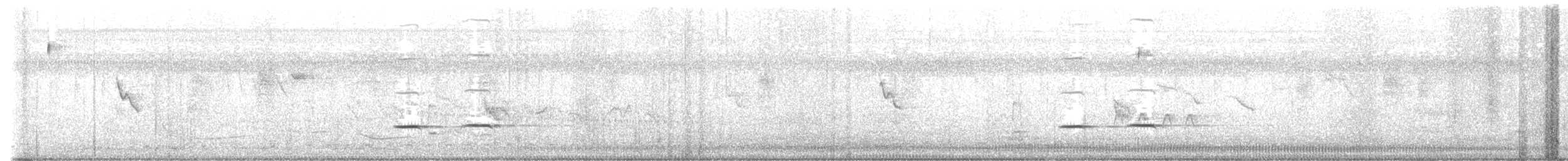Striped Cuckoo - ML615722741