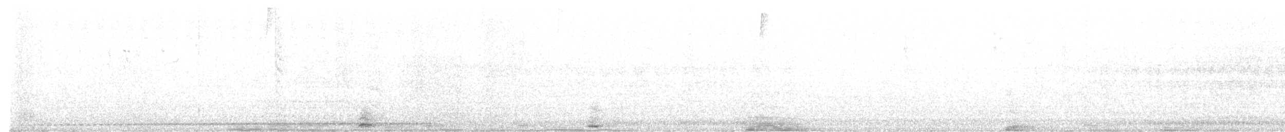 Grallaire ondée - ML615722996