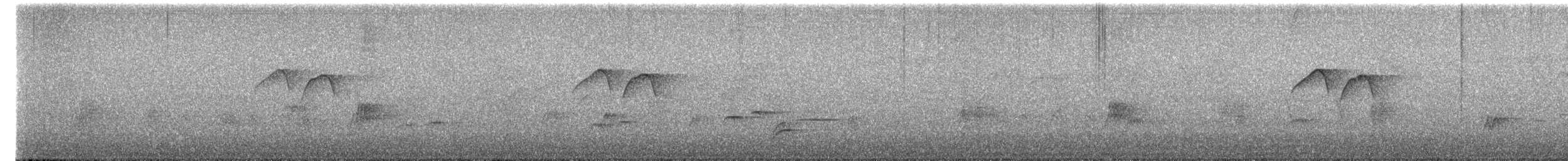 gråhakemønjefugl (solaris gr.) - ML615723376