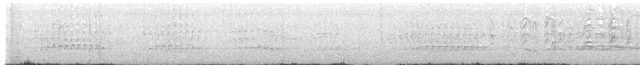 Kara Karınlı Islıkçı Ördek (fulgens) - ML615723602