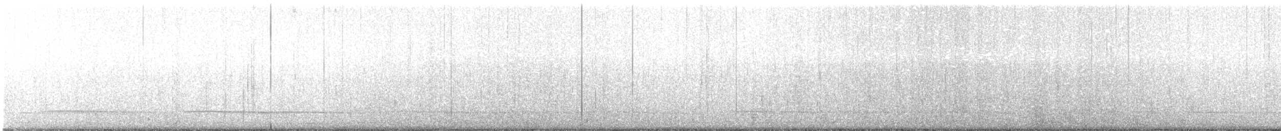 Black Scoter - ML615724130