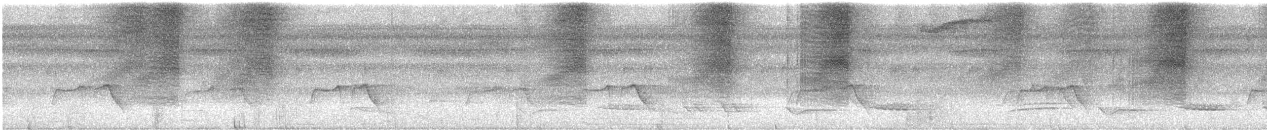 Weißflecken-Ameisenwächter - ML615725689