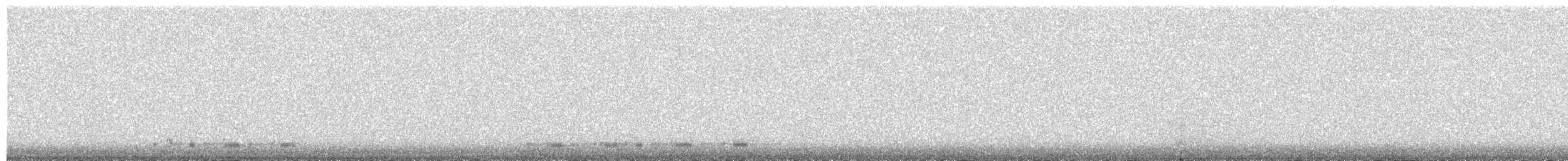Хумхин бохио - ML615731511