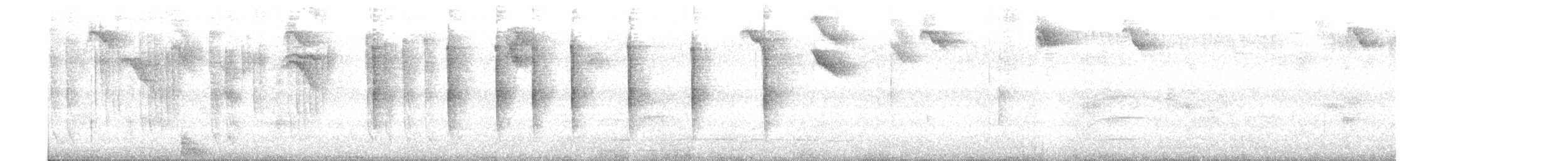 Colibri hirondelle - ML615734079