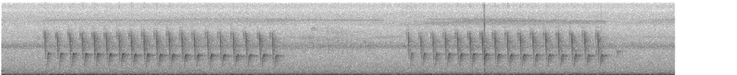 pěnicovec krátkoocasý - ML615735665