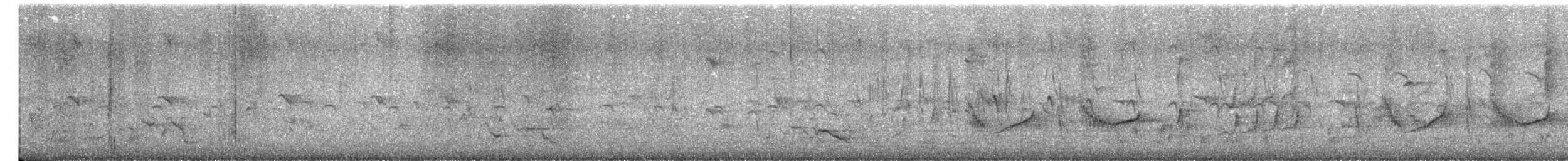 Атласная нектарница - ML615738436