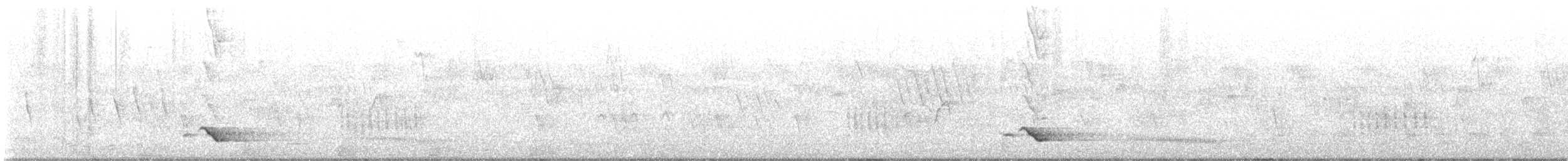 アフリカズキンコウライウグイス - ML615738989