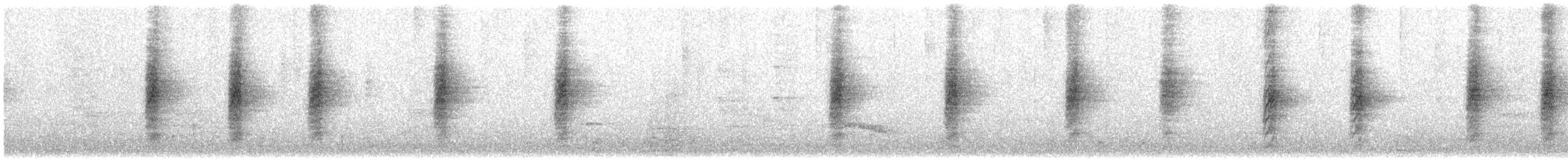 Ошейниковая веерохвостка - ML615739431