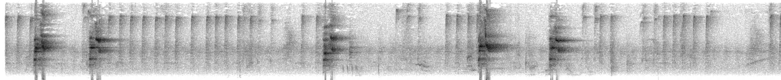 Аракарі плямистоволий - ML615739466