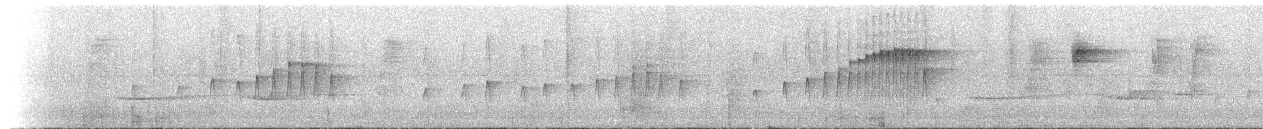 Northern Plain-Xenops - ML615740807