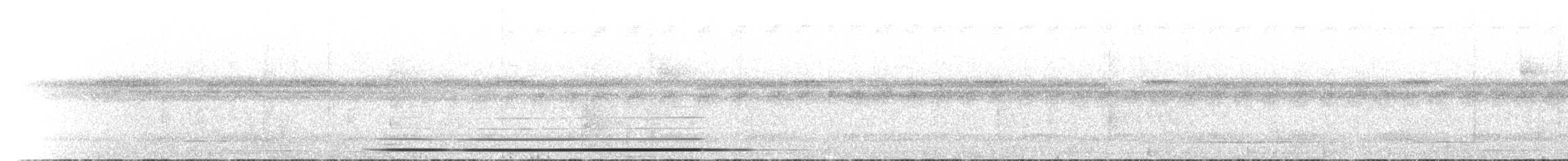 Slaty-breasted Tinamou - ML615740829