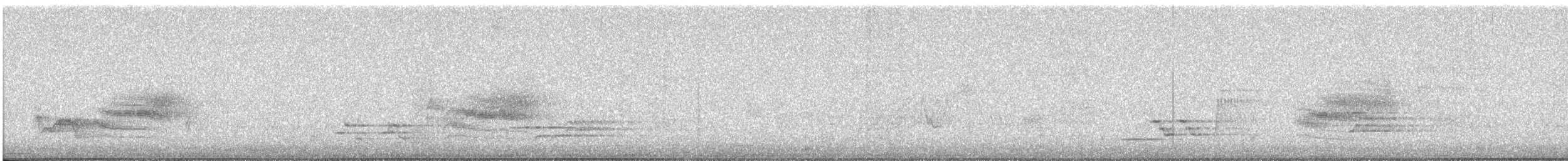 Grive des bois - ML615741680