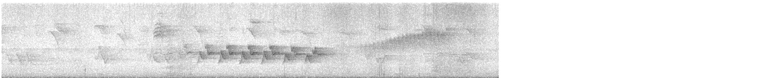 Paruline du Kentucky - ML615741870